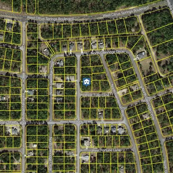 647 W Tulip Lane, Citrus Springs, FL 34434 - Image #2