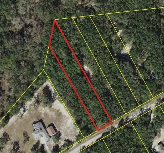0 Rim Rock, Webster, FL 33597 - Image #2