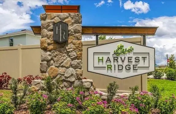 37445 Sharks Eye Lane, Zephyrhills, FL 33541 - #2