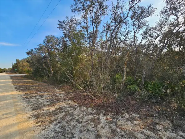 34310 Manuel Street, WEBSTER, FL 33597