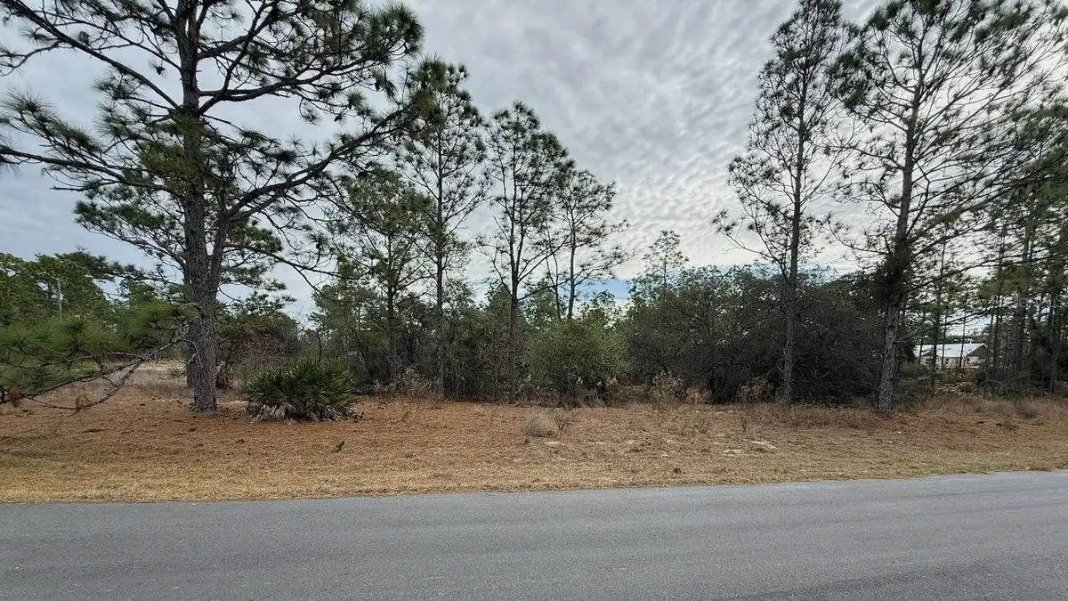 4143 W Dorchester Circle, Dunnellon, FL 34433 - #1