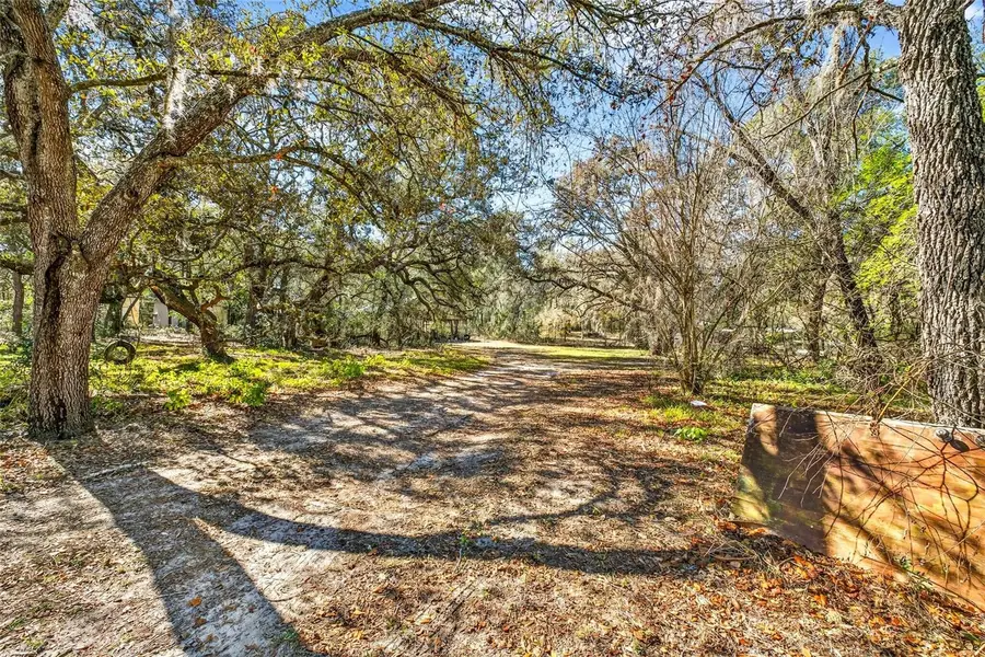 16624 Helen K Drive, Spring Hill, FL 34610 - Image #3