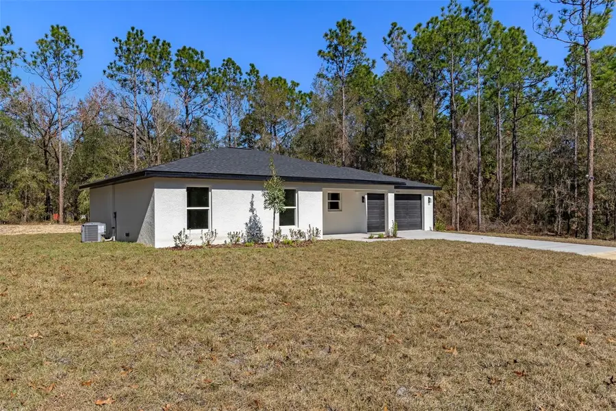 14197 Red Marlin Avenue, Brooksville, FL 34614 - Image #3