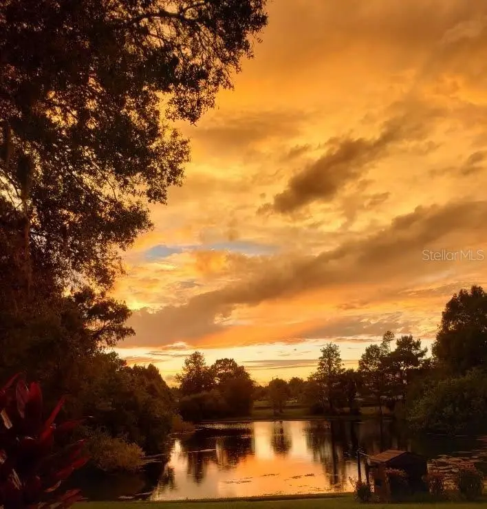 7737 Eureka Drive #203, Hudson, FL 34667 - Image #1