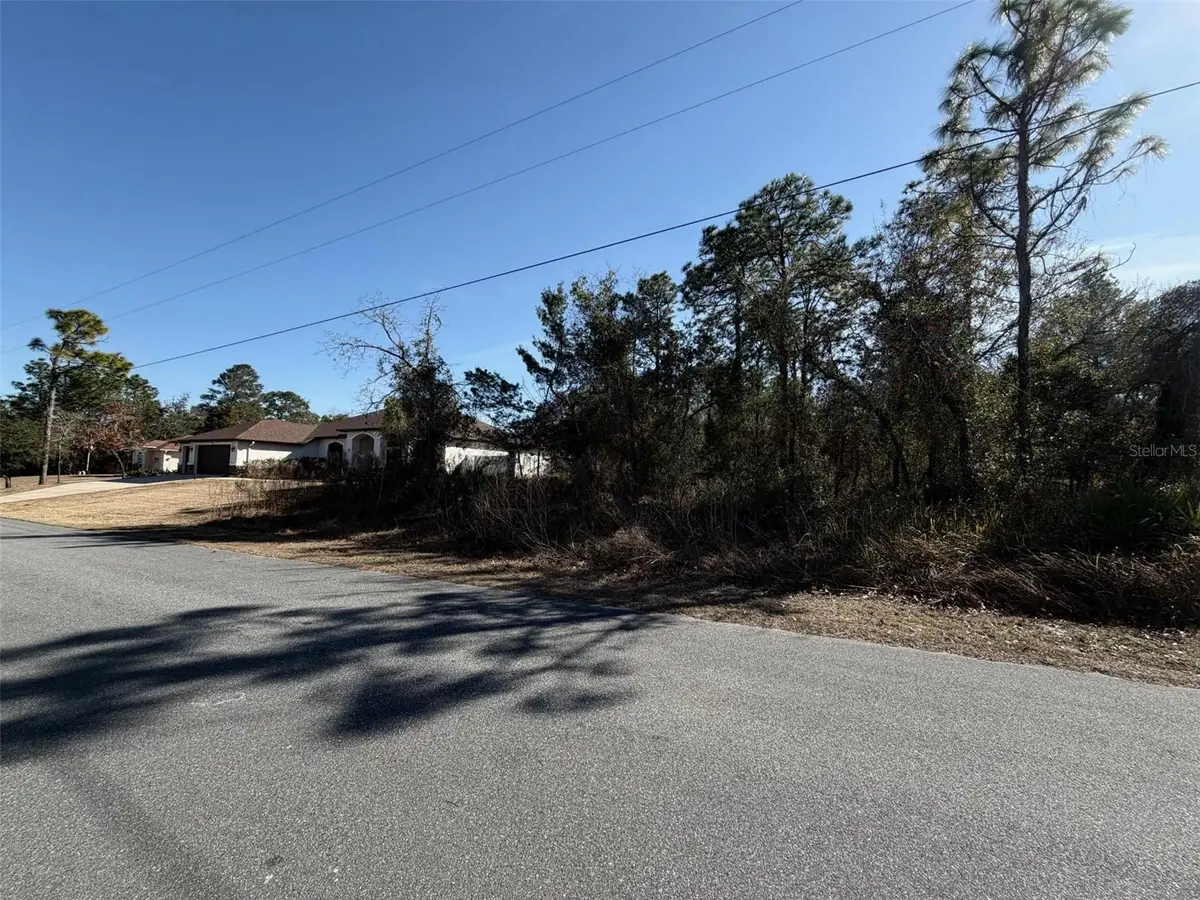 0 Godwit Avenue, Weeki Wachee, FL 34613 - Image #1