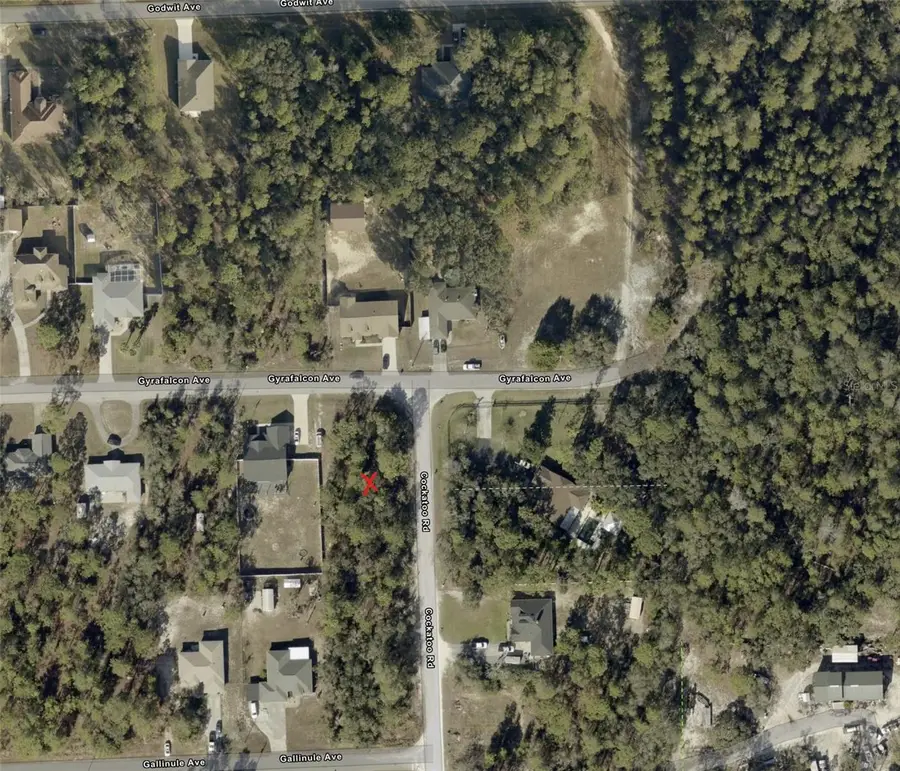 0 Gyrafalcon Avenue, Weeki Wachee, FL 34613 - Image #2