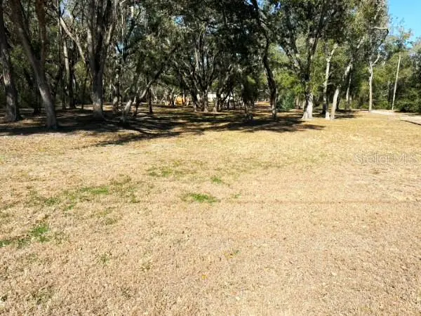 16347 Albright Road, Spring Hill, FL 34610 - Image #2