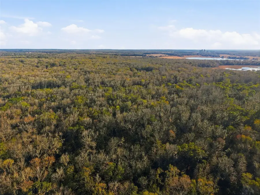 0 Thompson Loop, Brooksville, FL 34614 - Image #2