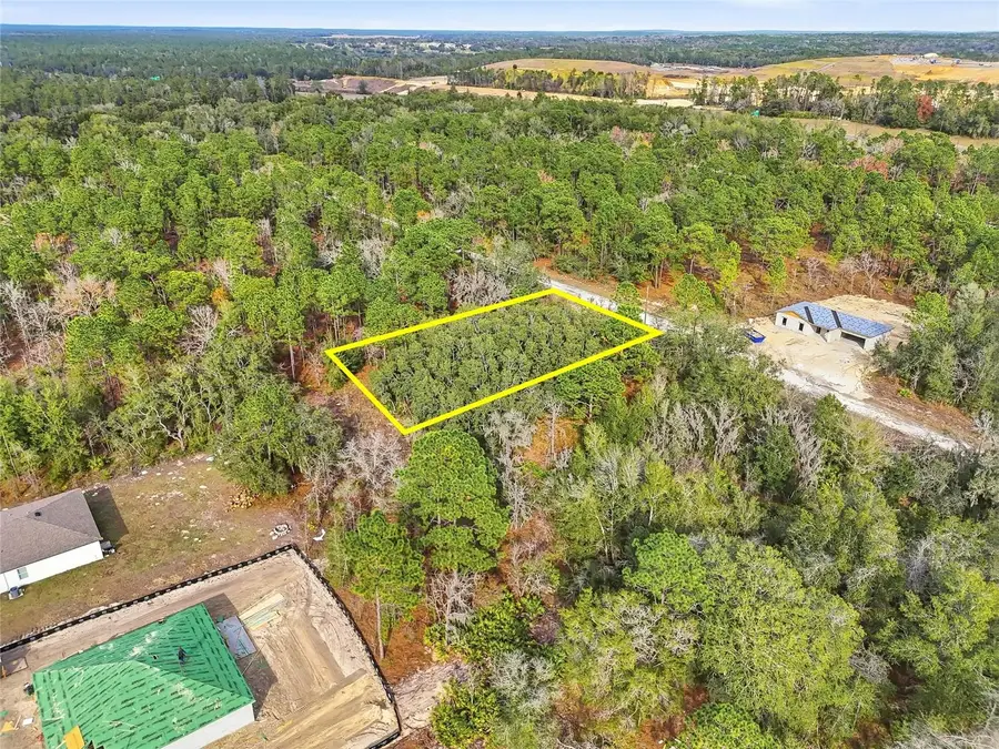 Cayman Road, Weeki Wachee, FL 34614 - #2