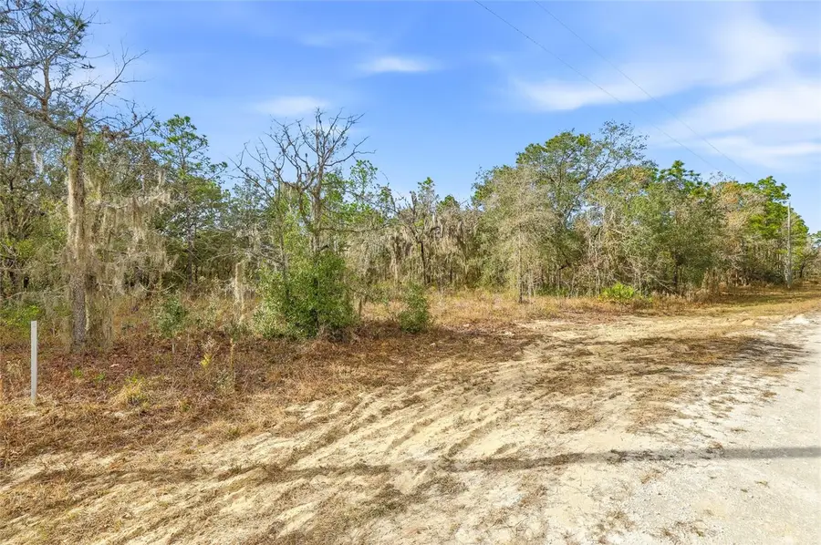 Cayman Road, Weeki Wachee, FL 34614 - #3