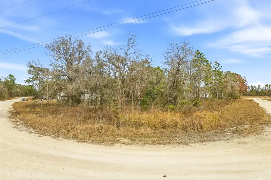 16364 Cayman Road, Brooksville, FL 34614 - #3