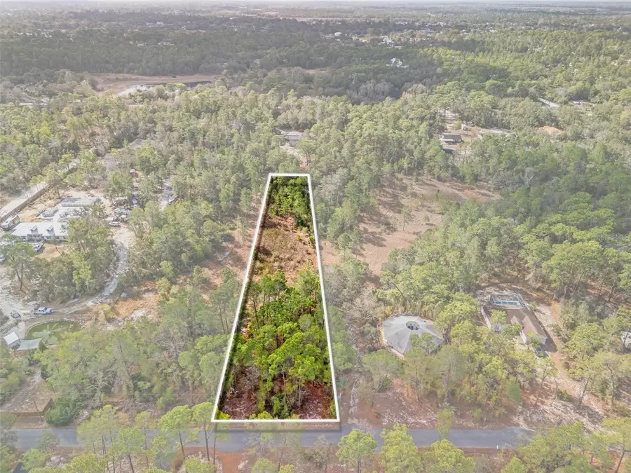 9142 Michigan Avenue, Weeki Wachee, FL 34613 - #3