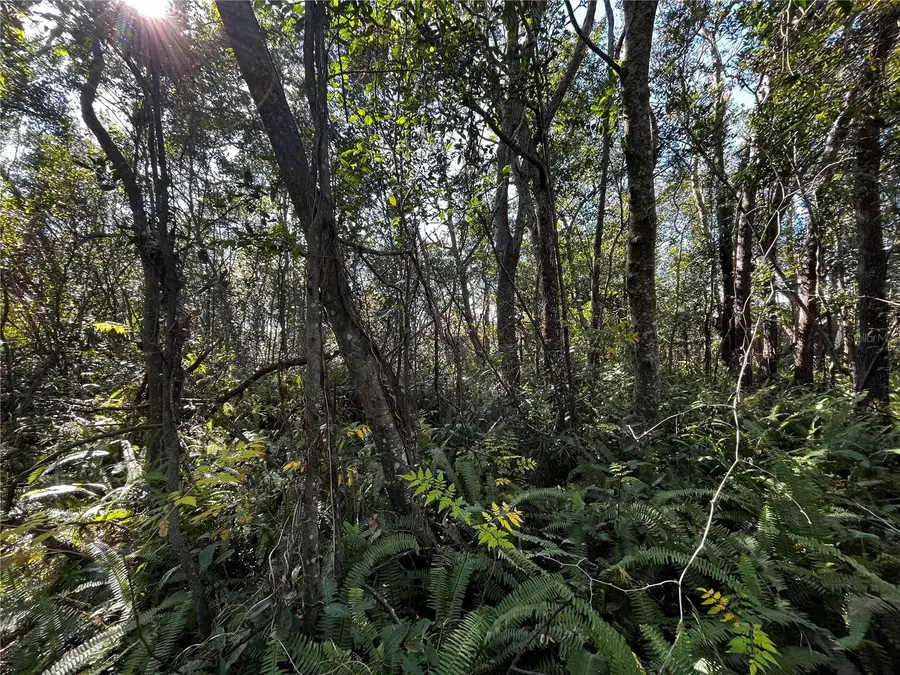 2293 Marietta Avenue, Spring Hill, FL 34608 - #2