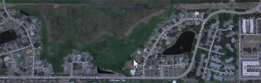 No Address Assigned, Holiday, FL 34691 - #3