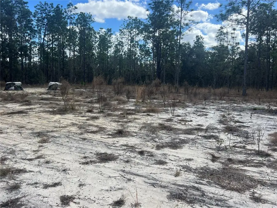 0000 SE 135th Court Se, Dunnellon, FL 34431 - #3