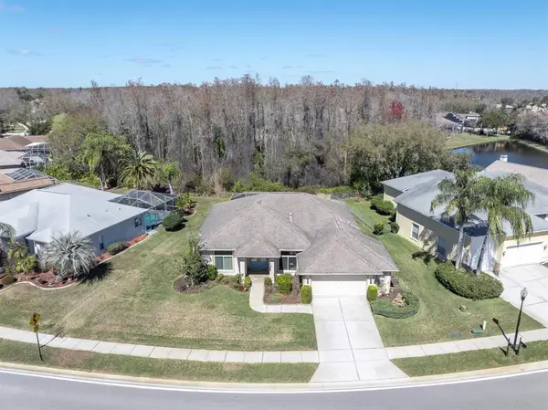 1014 Arlinbrook Drive, TRINITY, FL 34655