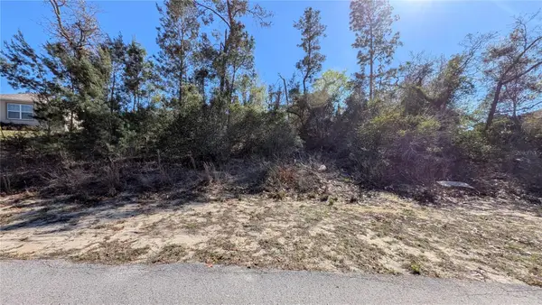 13014 Hanley Drive, SPRING HILL, FL 34609