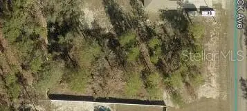 16051 Scaup Duck Avenue, Weeki Wachee, FL 34614 - #2