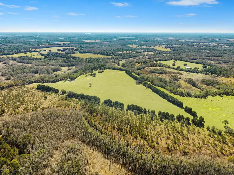 Lake Erie Road, Groveland, FL 34736 - #3