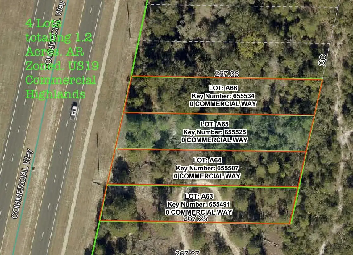 7172 Commercial Way, Weeki Wachee, FL 34613 - #1