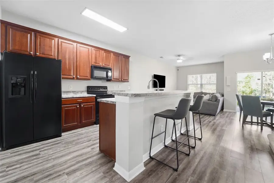 17539 Hugh Lane, Land O Lakes, FL 34638 - #2