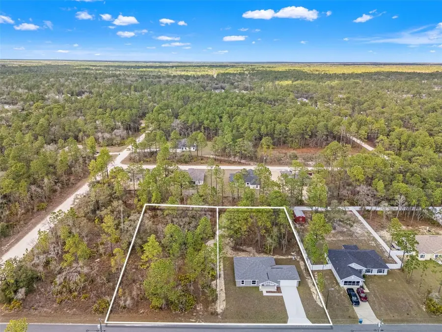 11107 Wood Owl Avenue, Weeki Wachee, FL 34614 - #2