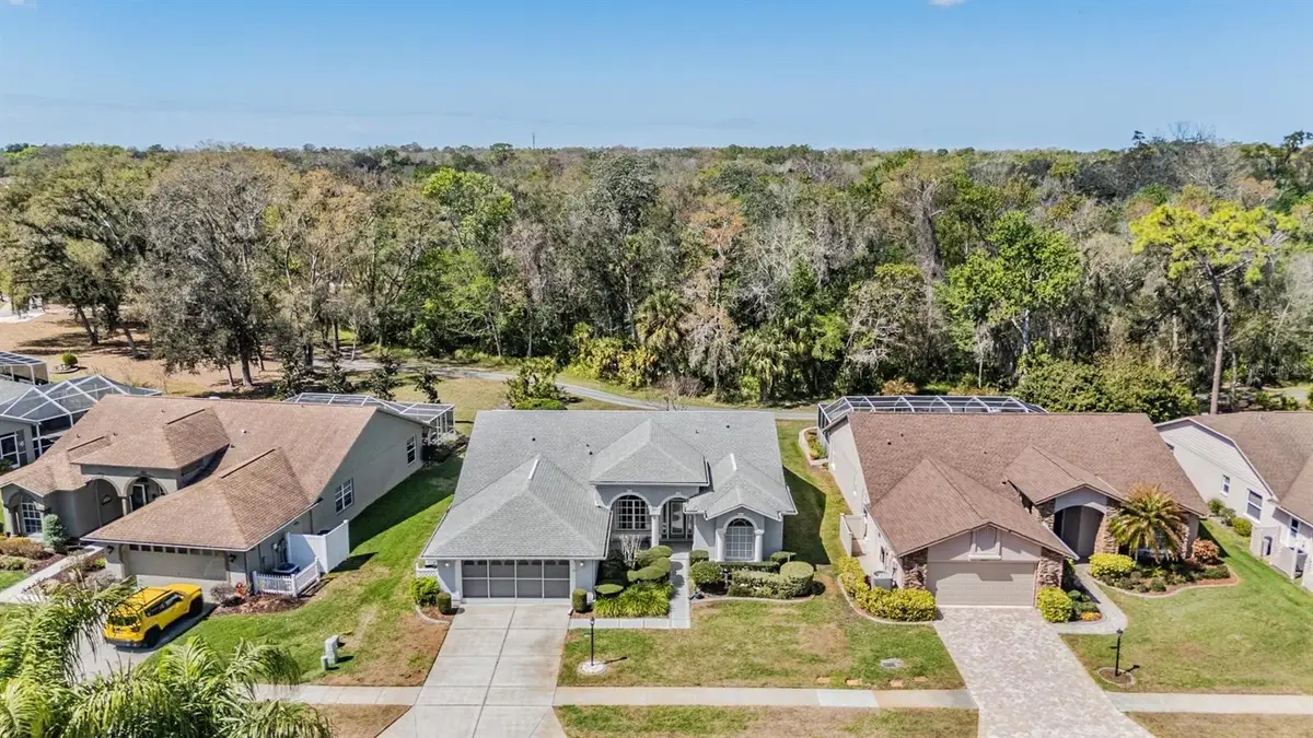 9525 Springmeadow Drive, New Port Richey, FL 34655 - #1