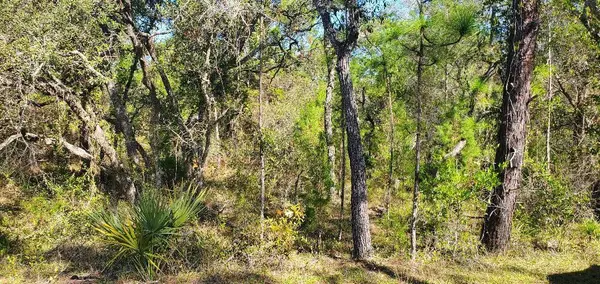 Lot 56 Michigan Avenue, WEEKI WACHEE, FL 34613