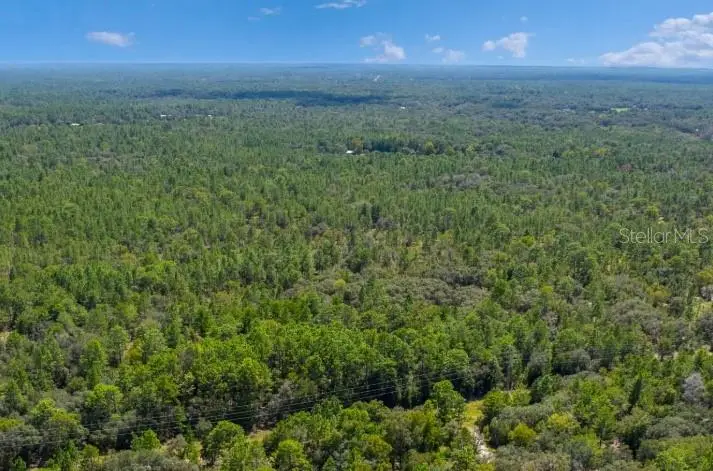 6376 W Hagan Court, Dunnellon, FL 34433 - #1