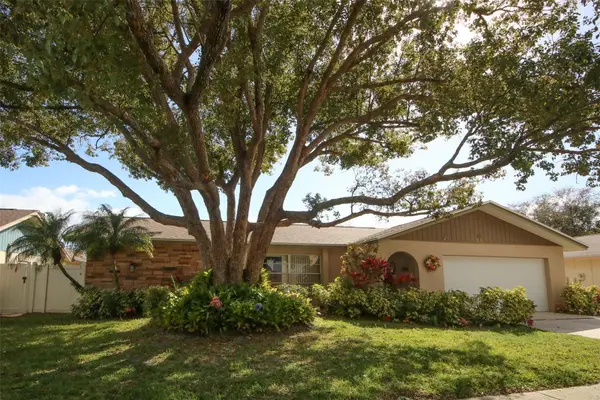 45 Turnstone Drive, SAFETY HARBOR, FL 34695