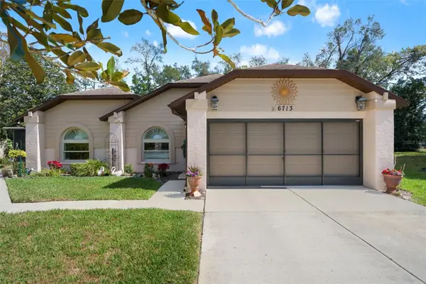 6713 Oak Cluster Circle, SPRING HILL, FL 34606