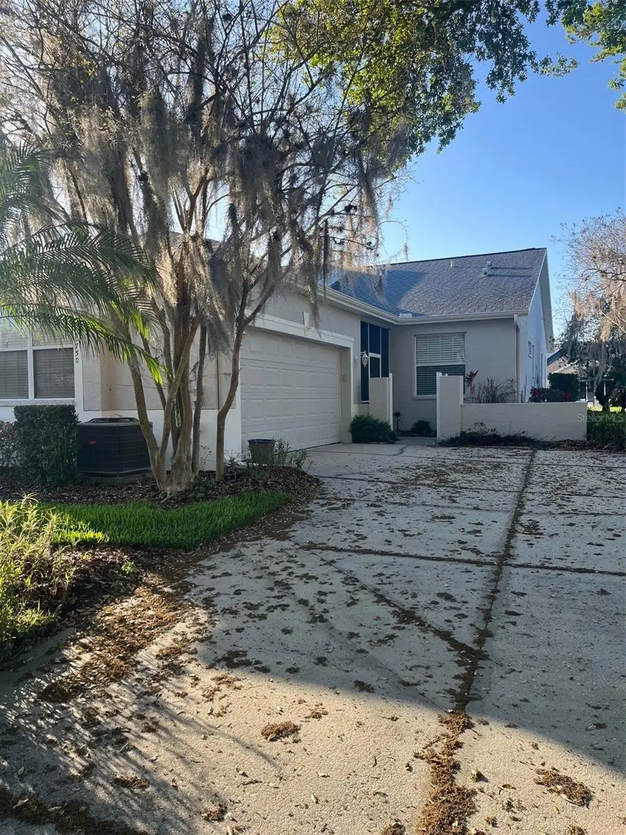 20750 Eustis Road, Land O Lakes, FL 34637 - #2