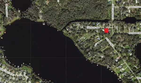 14328 Chisholm Lane, ODESSA, FL 33556