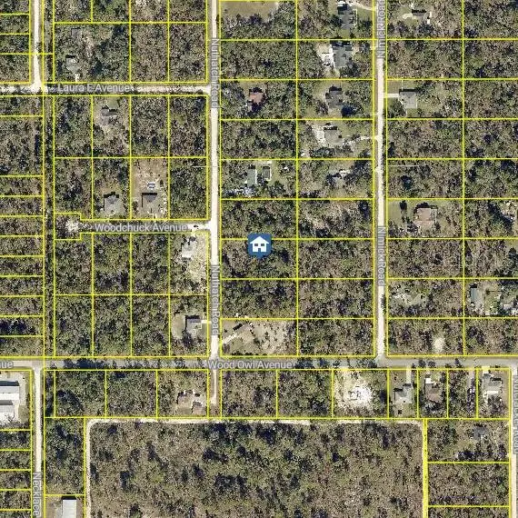 LOT 8 Nuthatch Road, Weeki Wachee, FL 34614 - #2
