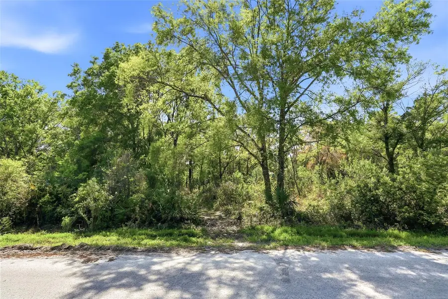 100 Fern Street, New Port Richey, FL 34654 - #2