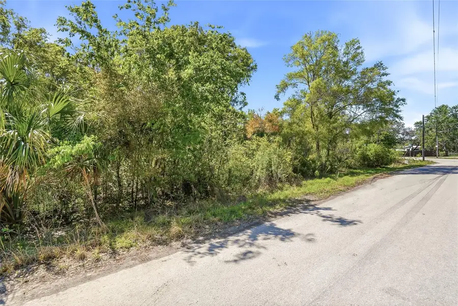 100 Fern Street, New Port Richey, FL 34654 - #3