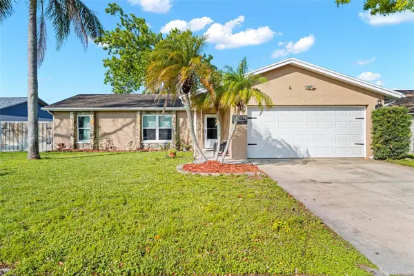 11201 Island Pine Drive, PORT RICHEY, FL 34668