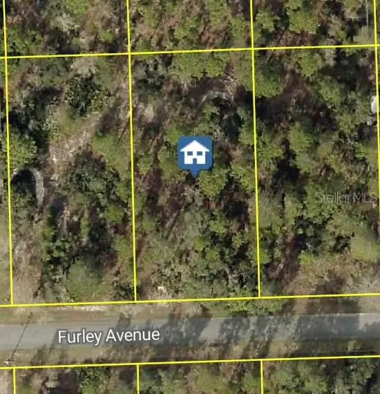 11323 Furley Avenue, Weeki Wachee, FL 34613 - #1