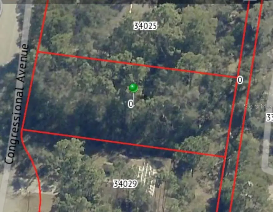 34027 Congressional Avenue, Dade City, FL 33523 - #2