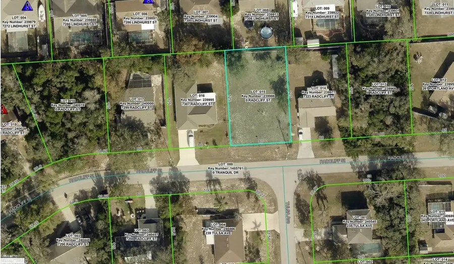 7315 Radcliff Street, Spring Hill, FL 34606 - #2