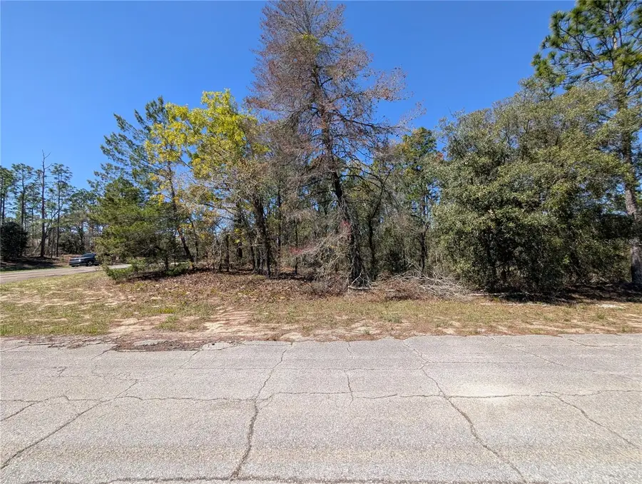 3099 W Wilhelm Street, Citrus Springs, FL 34433 - #3