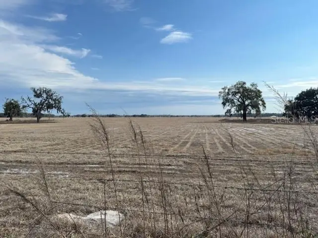 112 SW 115th Avenue, Dunnellon, FL 34432 - #3