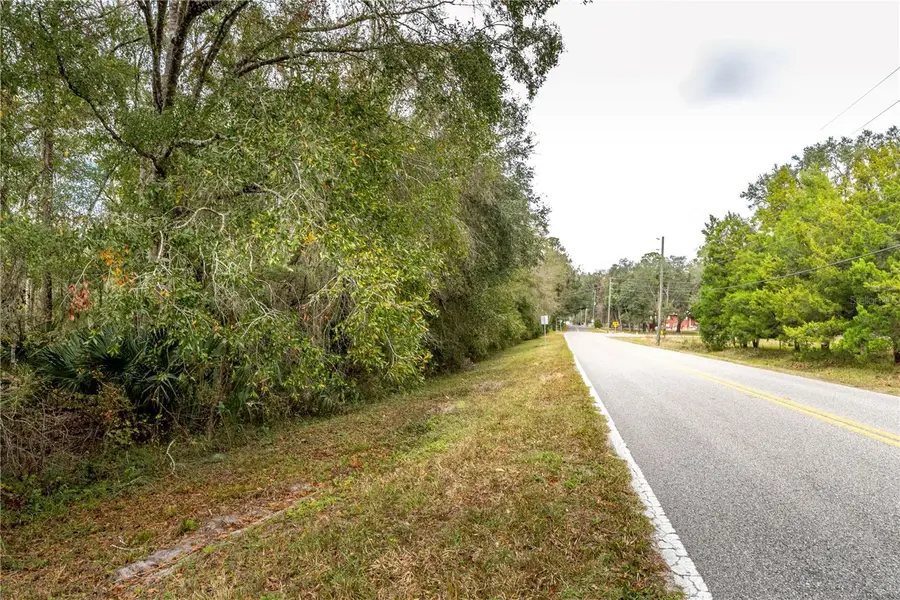 Lake Lindsey Tract 2 Road, Brooksville, FL 34601 - #3