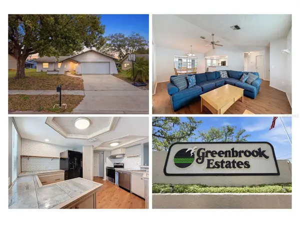 8643 Woodbridge Dr, NEW PORT RICHEY, FL 34655