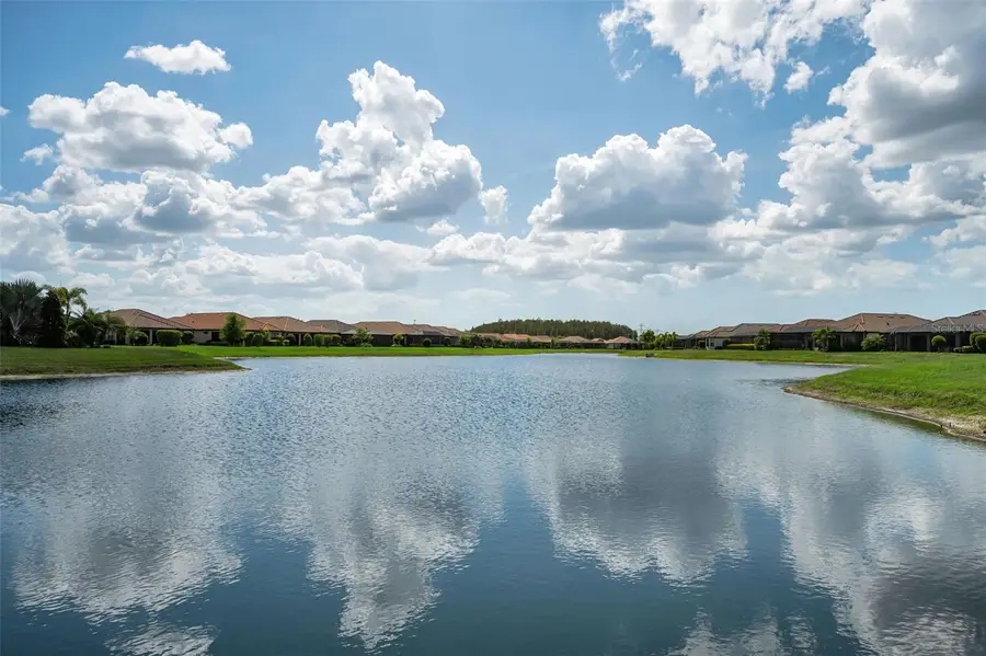 11151 Calluna Drive, Odessa, FL 33556 - #2