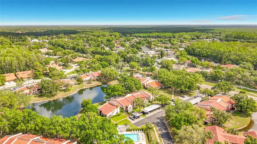 3505 Tarpon Woods Boulevard #P403, Palm Harbor, FL 34685 - #3