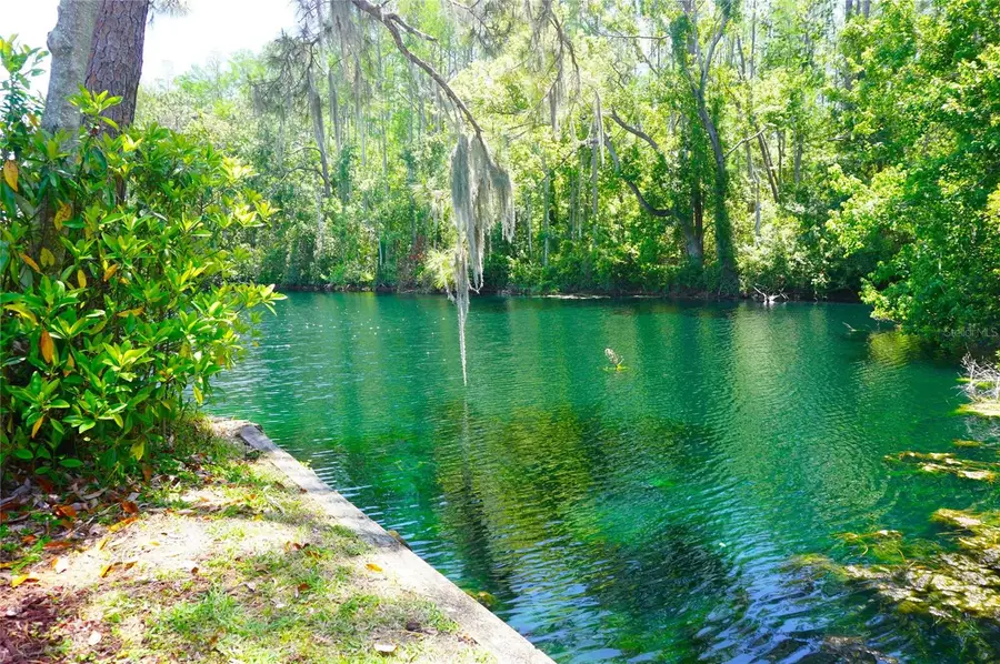 1873 Mazo Manor #T9, Lutz, FL 33558 - #3