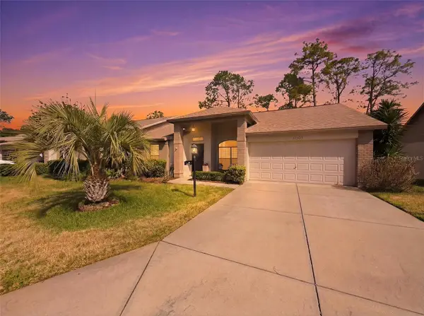 11503 Baronwood Court, HUDSON, FL 34667
