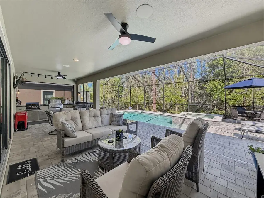 21931 Woodshadow Way, Land O Lakes, FL 34637 - #3