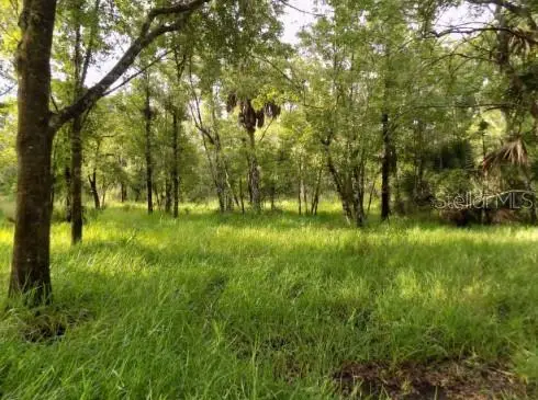 5001 Whippoorwill Drive, Holiday, FL 34690 - #1